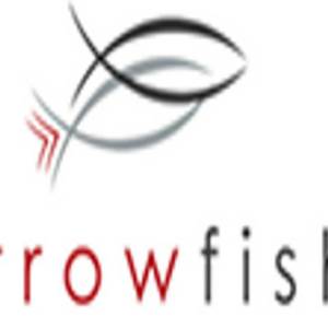 arrowfishconsulting 234523
